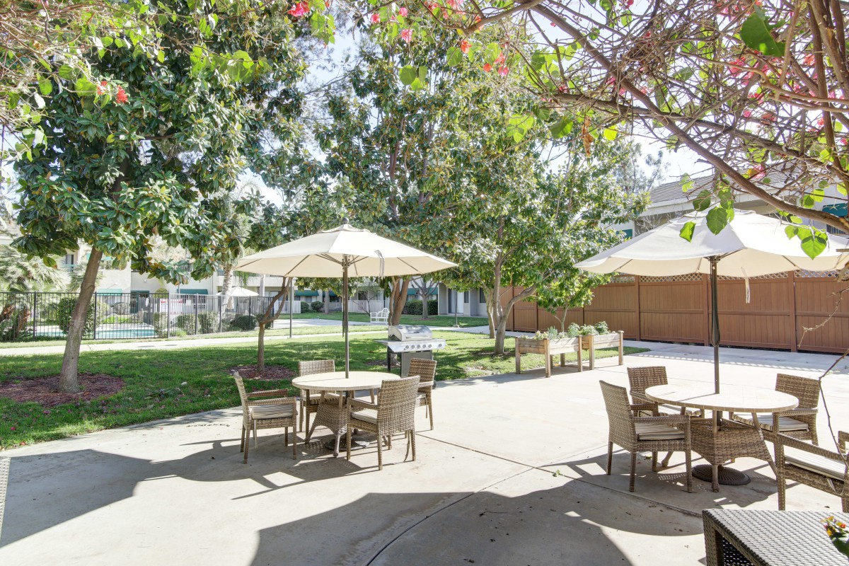 A sunny outdoor patio with tables, chairs, and umbrellas surrounded by trees and greenery.
