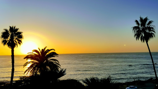 A tranquil sunset over the ocean, framed by palm trees.