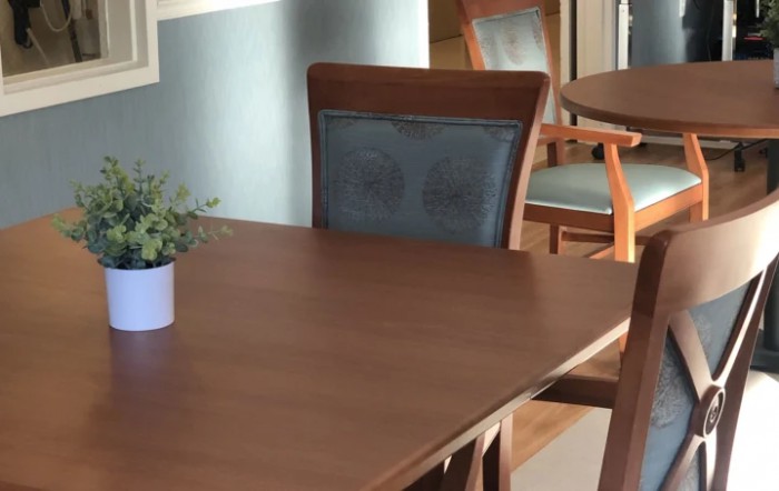 A modern dining area with a wooden table, chairs, and a small potted plant.