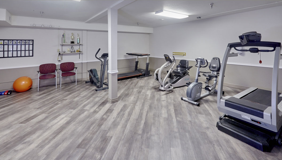 A clean and modern home gym featuring various exercise machines.