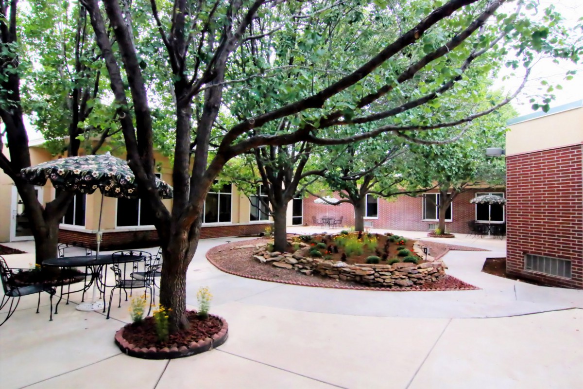 A serene courtyard with trees and landscaped garden.