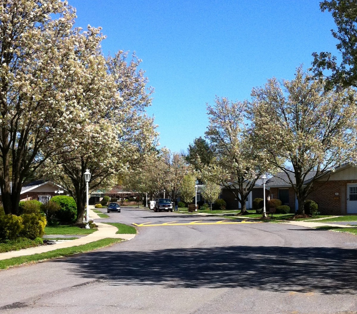 Neffsville Terrace