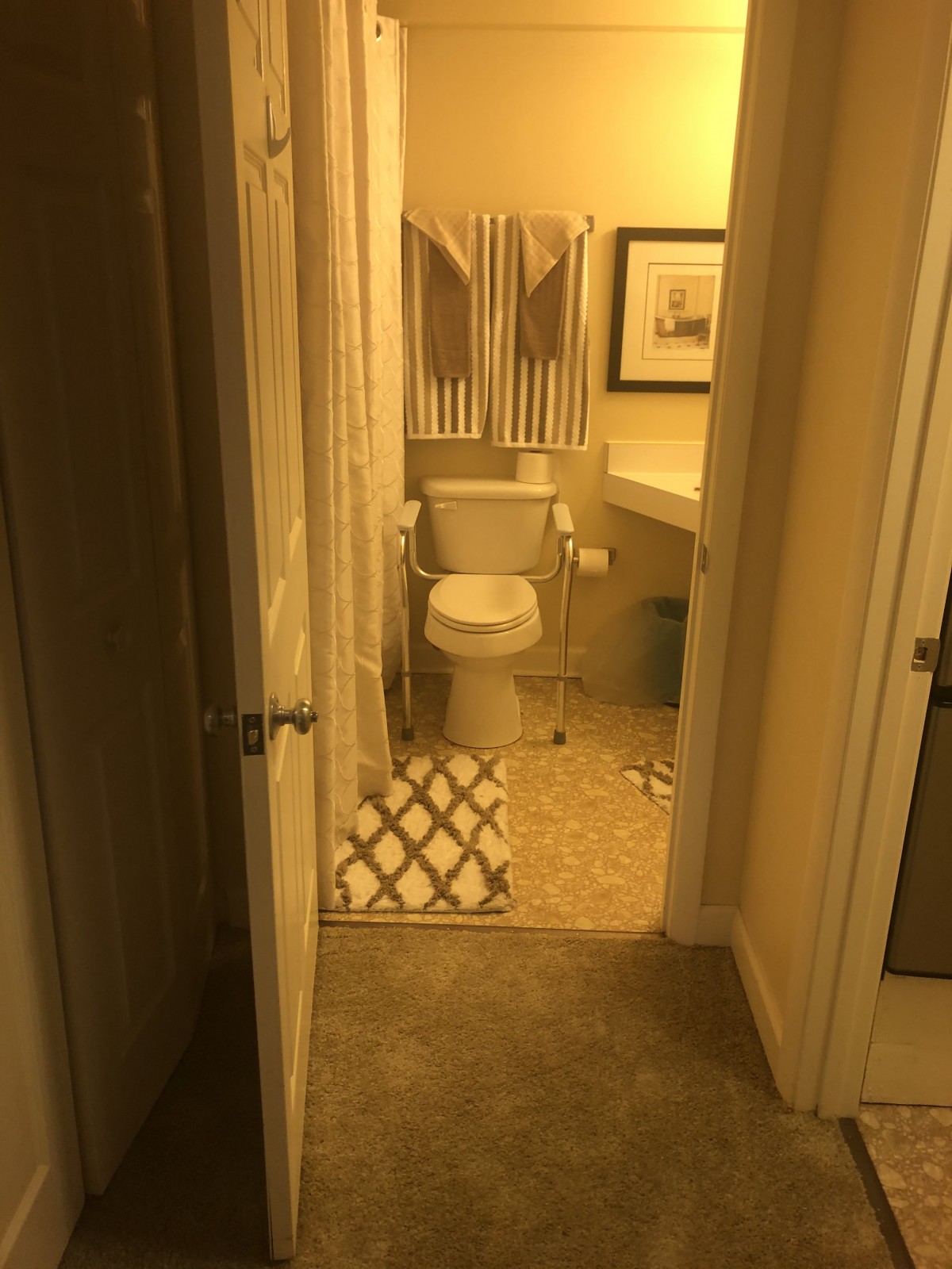 A well-lit bathroom with a toilet, sink, and shower area.