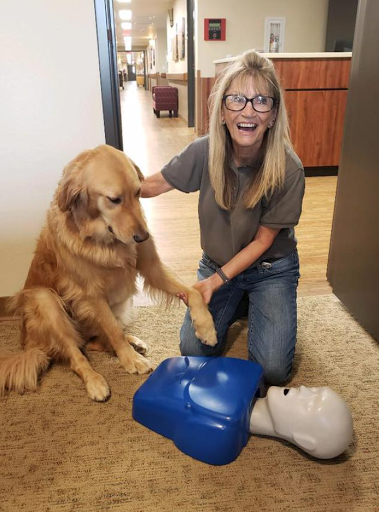 A woman smiles while demonstrating CPR techniques on a mannequin with her golden retriever by her side.