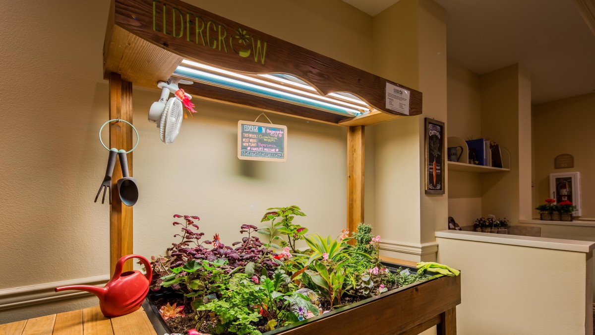 An indoor garden setup with a variety of plants and herbs under a grow light.