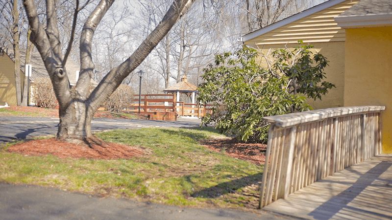 A peaceful backyard scene with a gazebo, trees, and a wooden fence.