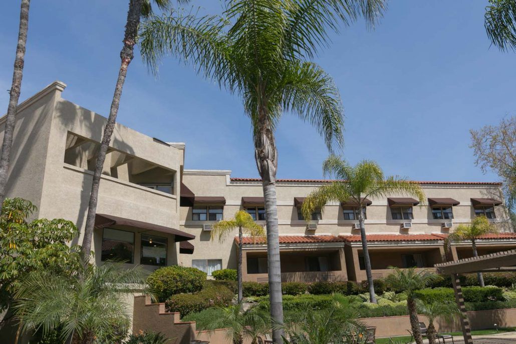 A sunny day view of a modern building surrounded by palm trees.