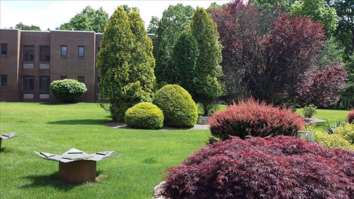 A beautifully landscaped garden with various trees and shrubs.