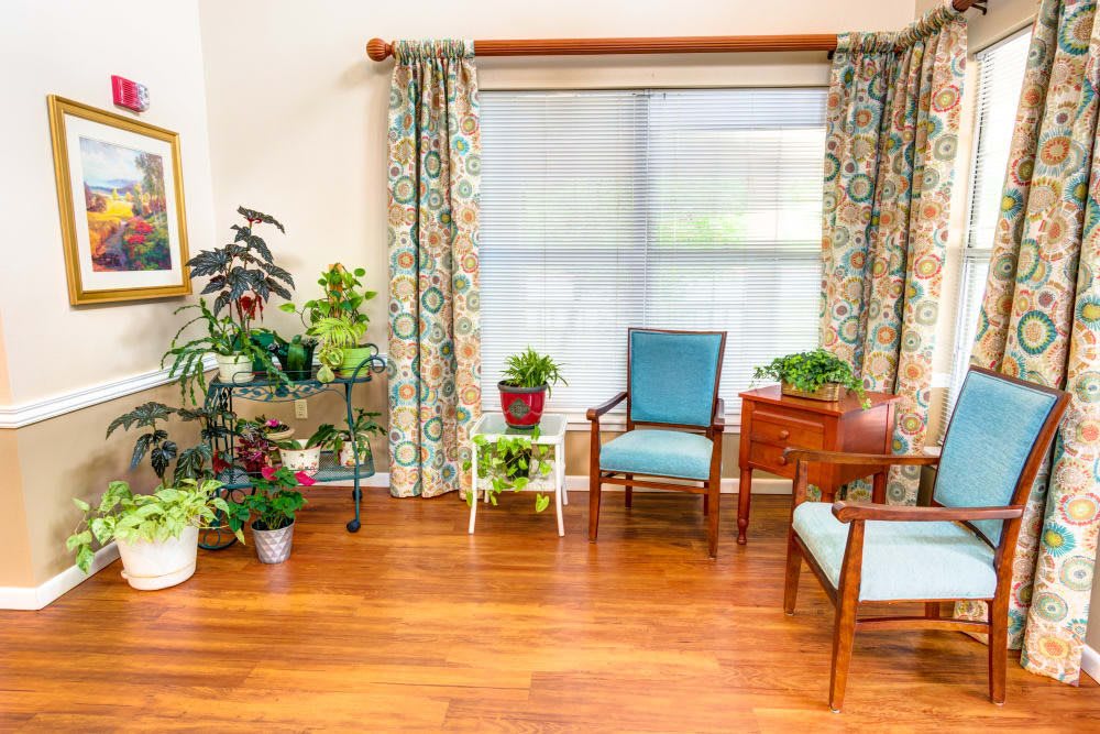 A cozy living room with wooden flooring, adorned with indoor plants and comfortable seating.