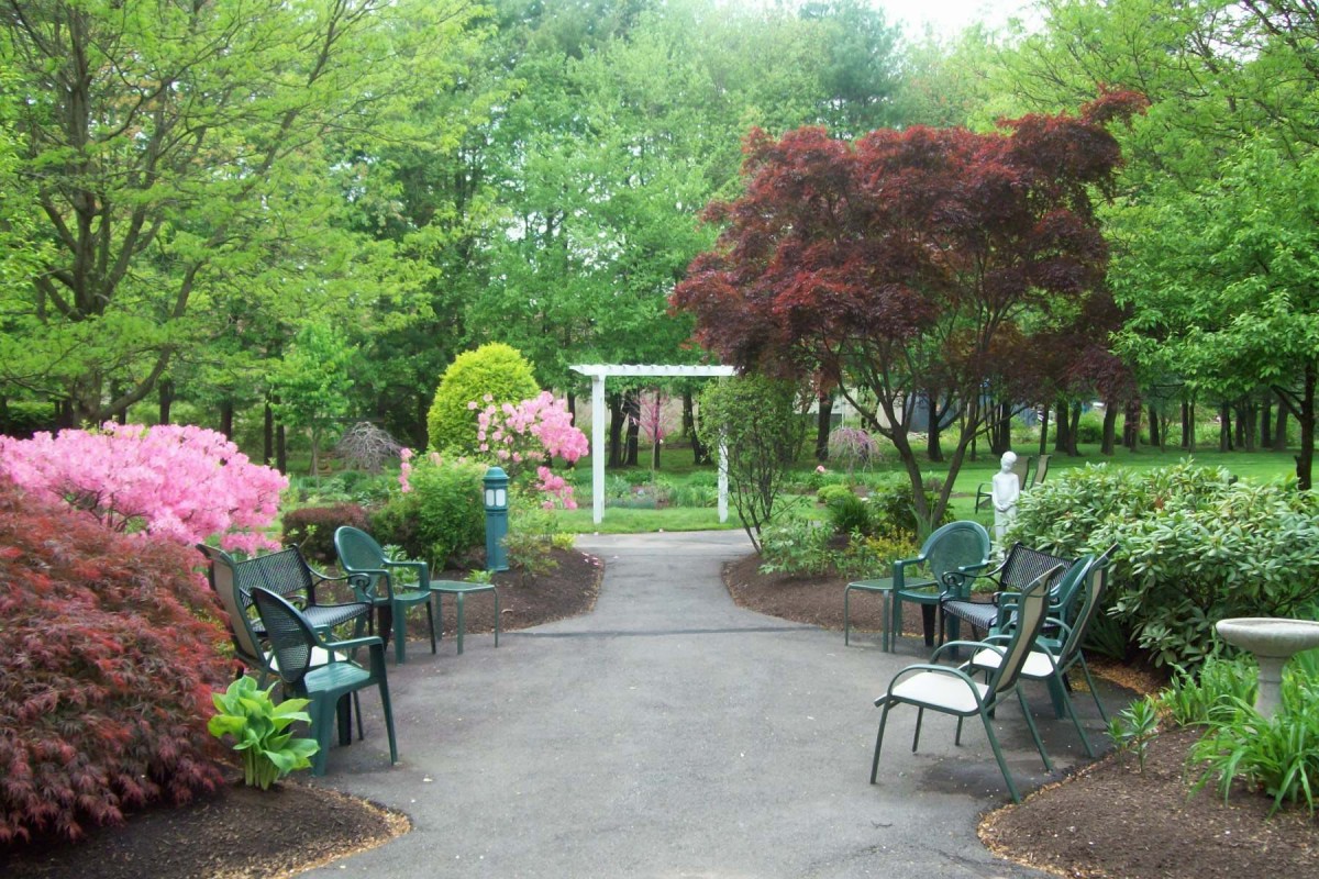 A serene garden pathway lined with chairs and surrounded by lush greenery and trees.