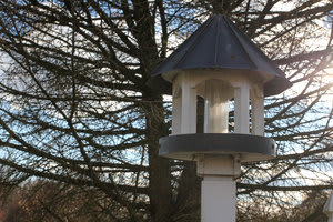 A birdhouse stands in front of leafless trees and a clear sky.