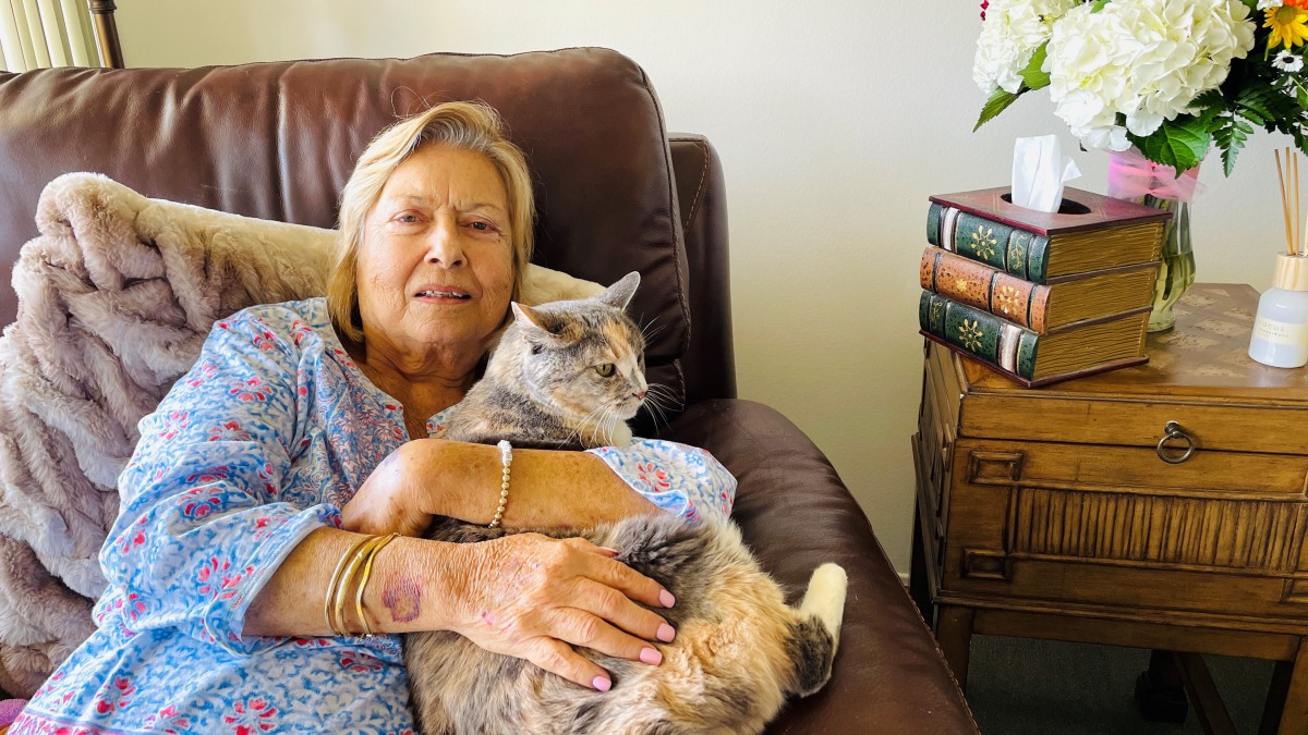 A woman sitting on a couch, holding a cat and relaxing indoors.