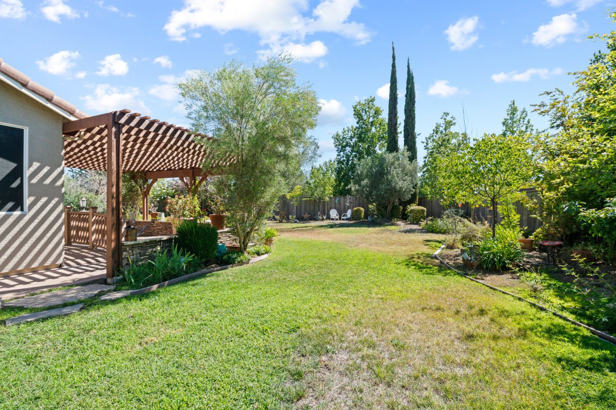 A spacious garden with a wooden pergola, surrounded by lush greenery and trees under a sunny sky.