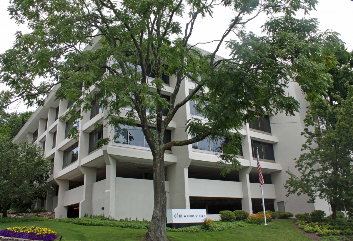 A modern office building partially obscured by a large tree.