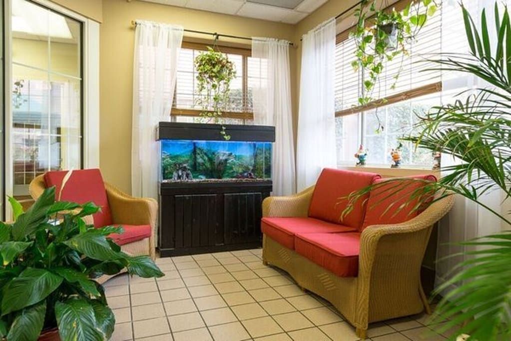 A cozy waiting room with an aquarium and comfortable seating surrounded by natural light and indoor plants.
