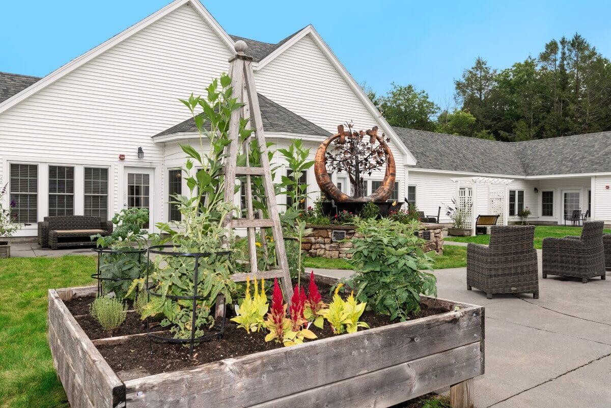 A lush vegetable garden in a raised bed outside a house.