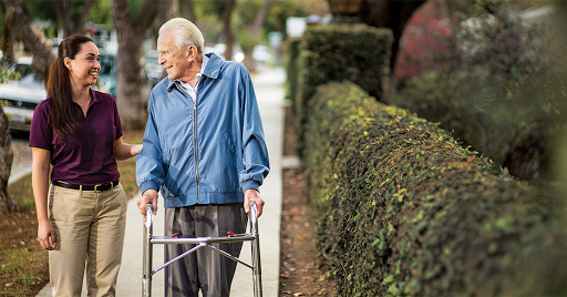 An elderly man using a walker while strolling along a sidewalk lined with hedges.