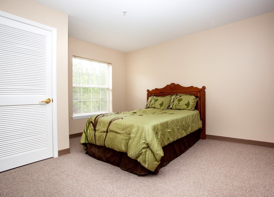 A simple bedroom with a green bedspread and natural light coming through the window.