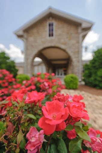 A beautiful garden of red roses in front of a stone building.