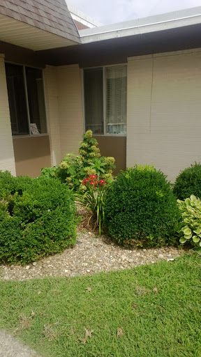 A well-maintained garden with lush bushes and colorful flowers near a building entrance.