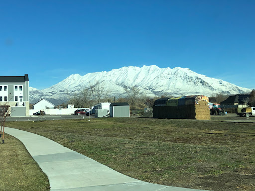 A picturesque view of snow-covered mountains under a clear blue sky, framed by grassy fields and a winding pathway.