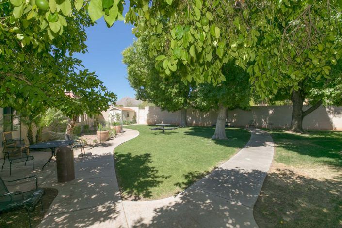 A serene garden area with lush trees and a winding pathway.