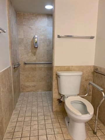 A bathroom with a toilet and accessible shower area.