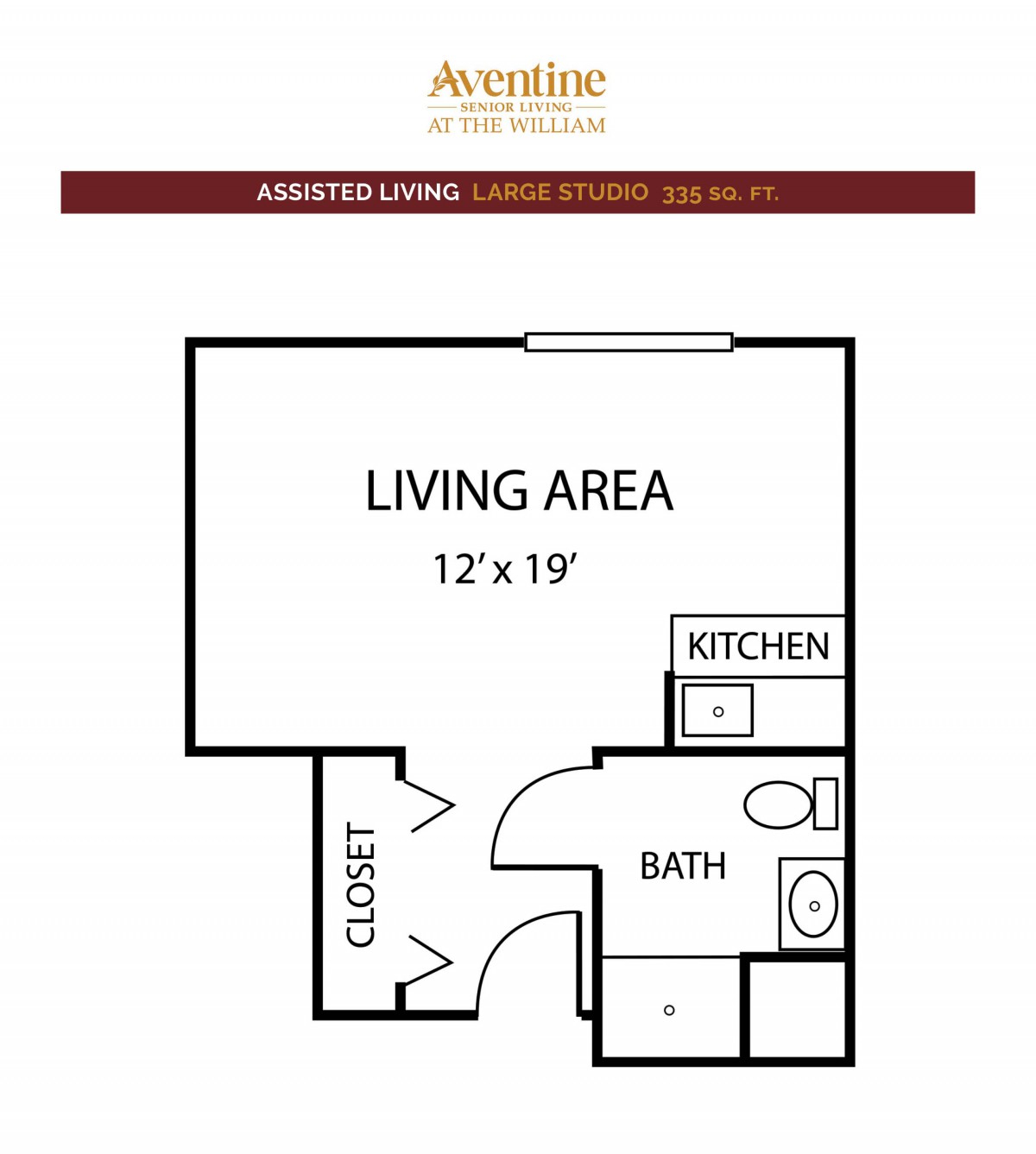 A studio apartment floor plan featuring a living area, kitchen, bathroom, and closet.