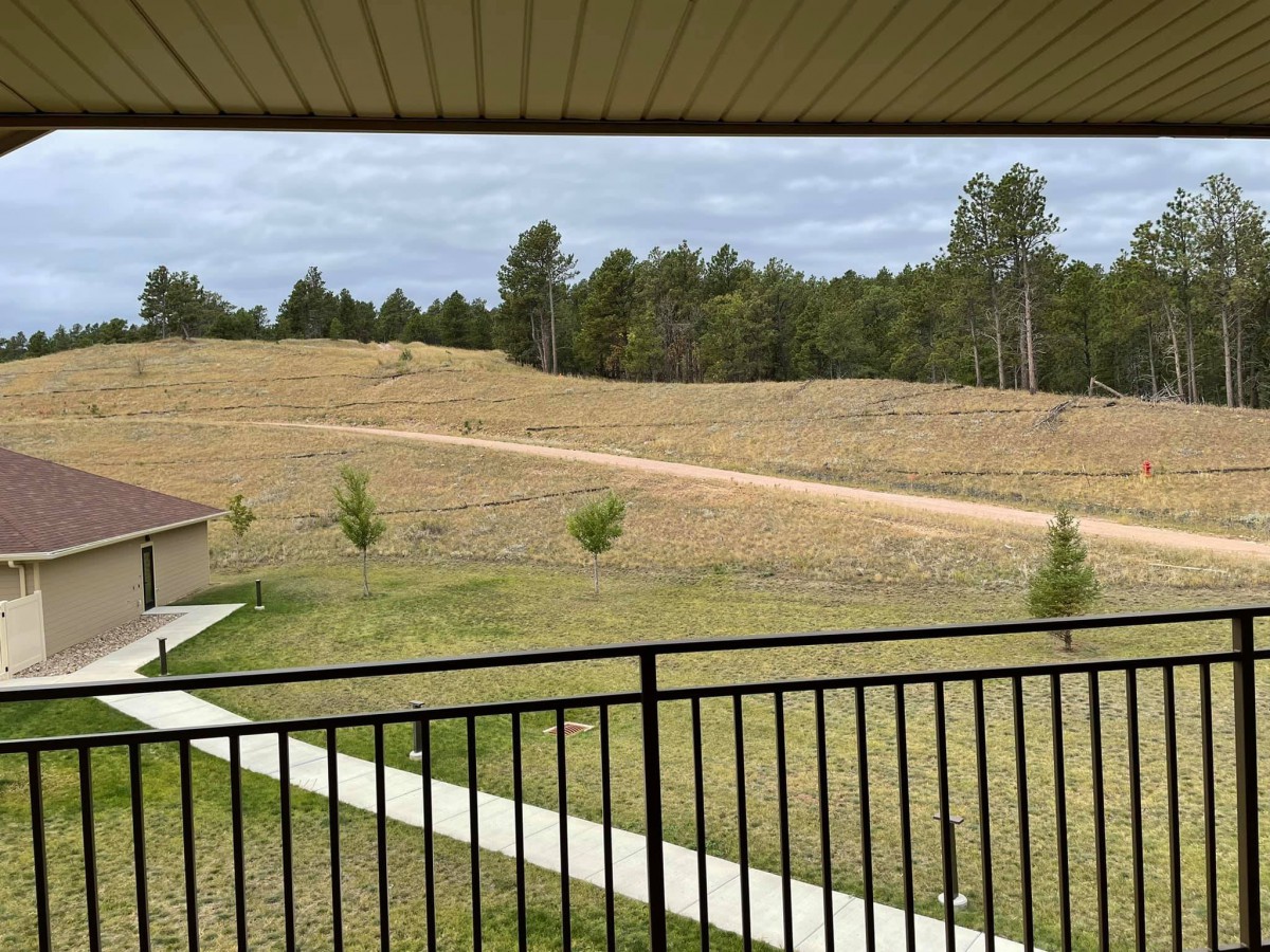 A serene view of a field with a pathway and trees, seen from behind a fence.