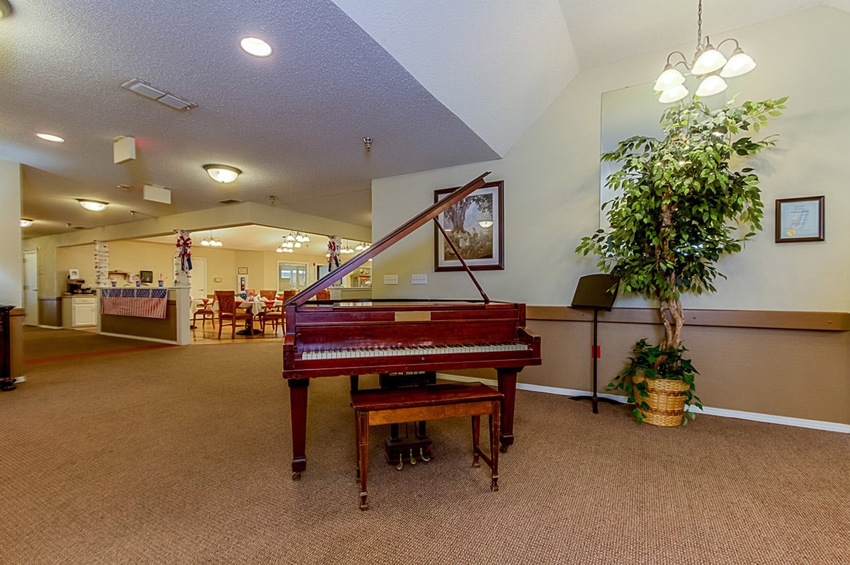A grand piano in a well-lit room with a plant and artwork on the walls.