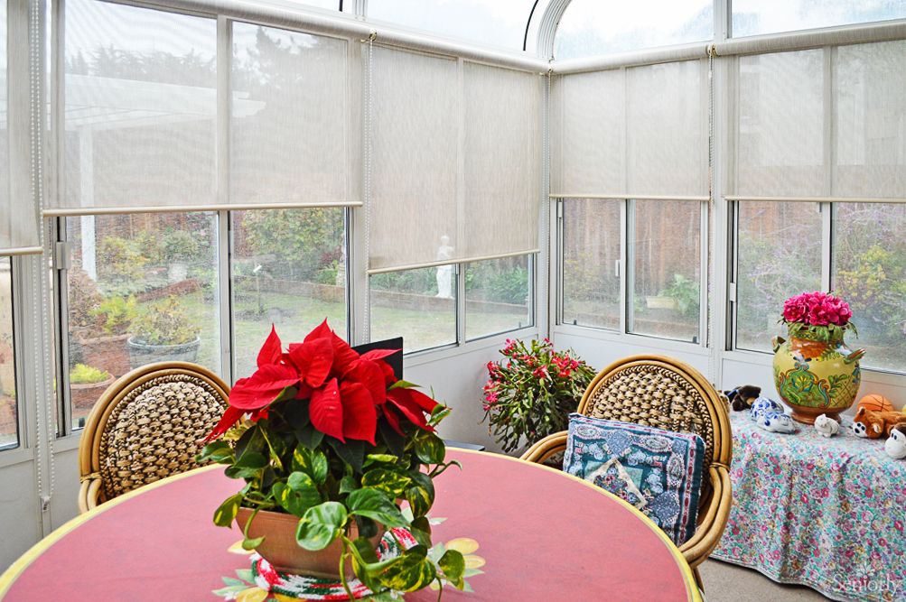 A cozy conservatory with rattan chairs and a table adorned with a poinsettia, surrounded by large windows and light-filtering blinds.