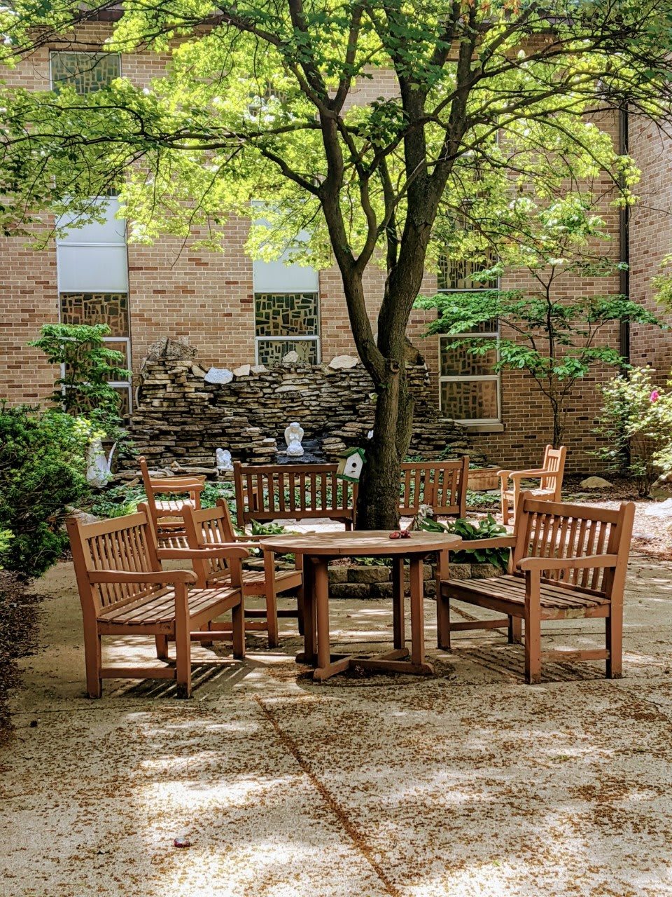 A serene garden patio with wooden chairs and a table under a leafy tree.