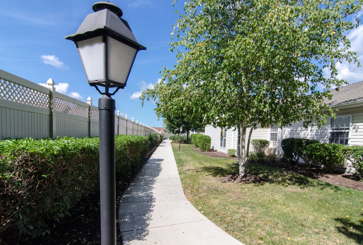 A serene sidewalk lined with a lamp post, trees, and greenery under a clear blue sky.