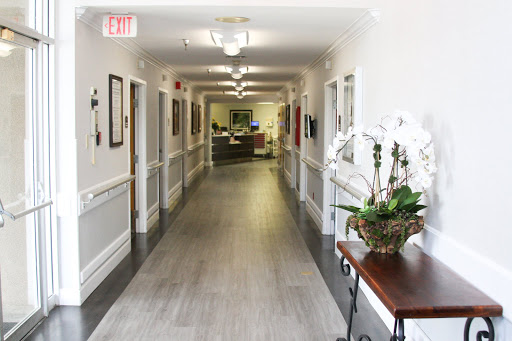 A well-lit hallway with decorative plants and a welcoming atmosphere.