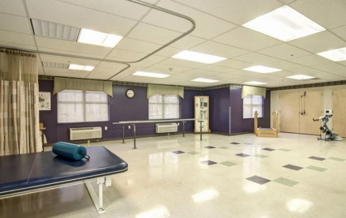 A well-lit physical therapy room equipped with parallel bars and a floor mat.
