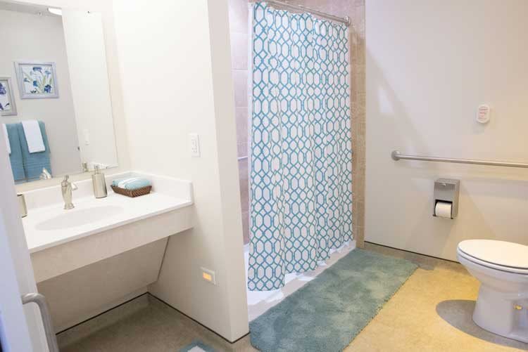 A bathroom featuring a shower with a patterned curtain, adjacent sink with mirror, and soft rugs.