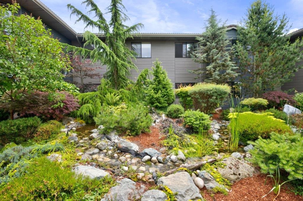 A beautifully landscaped garden with lush greenery and rocks in front of a house.