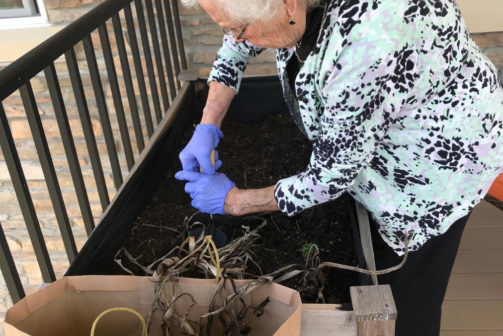 An elderly woman wearing gloves is engaged in gardening, planting seeds or seedlings in a large planter box.
