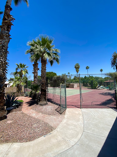 A serene outdoor tennis court surrounded by palm trees under a clear blue sky.