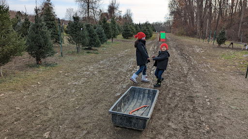 Two children enjoying a day at the tree farm, getting ready for the holiday season.
