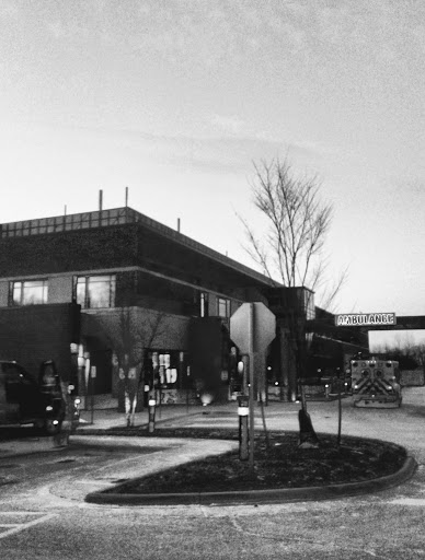 A monochrome view of a modern building surrounded by a landscaped area at dusk.