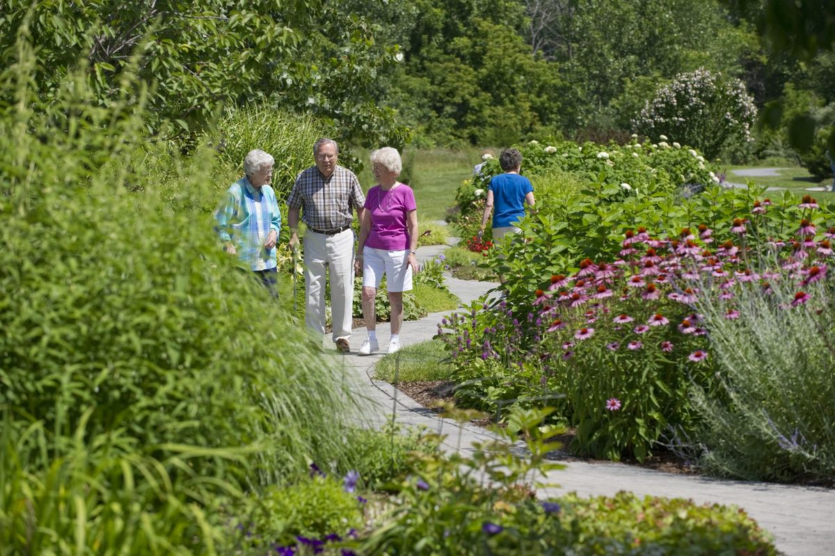 A group of people walking along a garden path surrounded by lush greenery and colorful flowers.