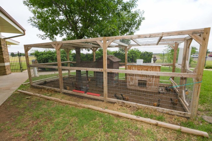A wooden chicken coop with fencing in a farm setting.