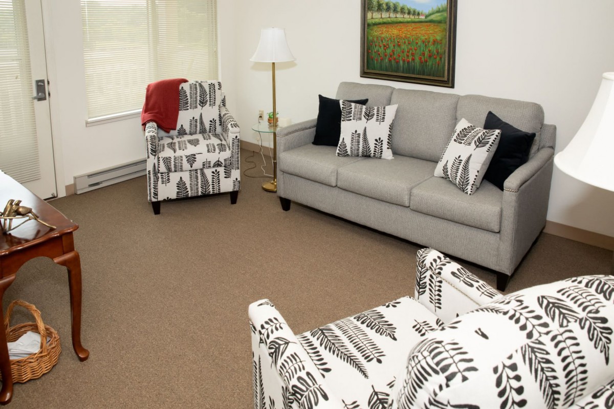 A cozy living room with a gray sofa, patterned armchairs, and decorative cushions.