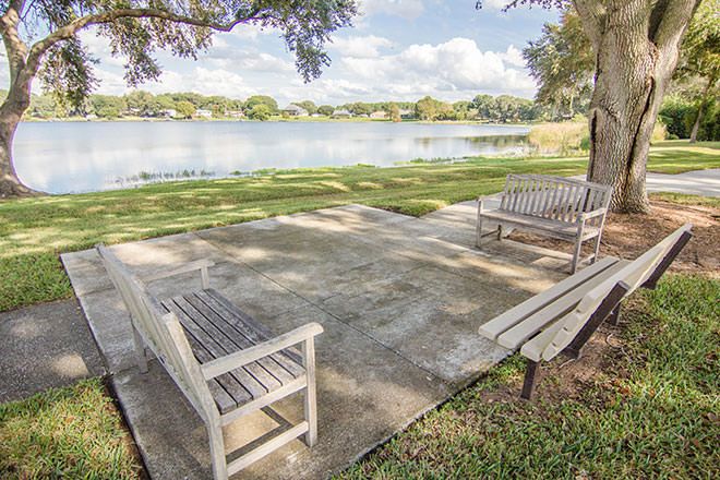 A serene park setting with benches overlooking a peaceful lake.