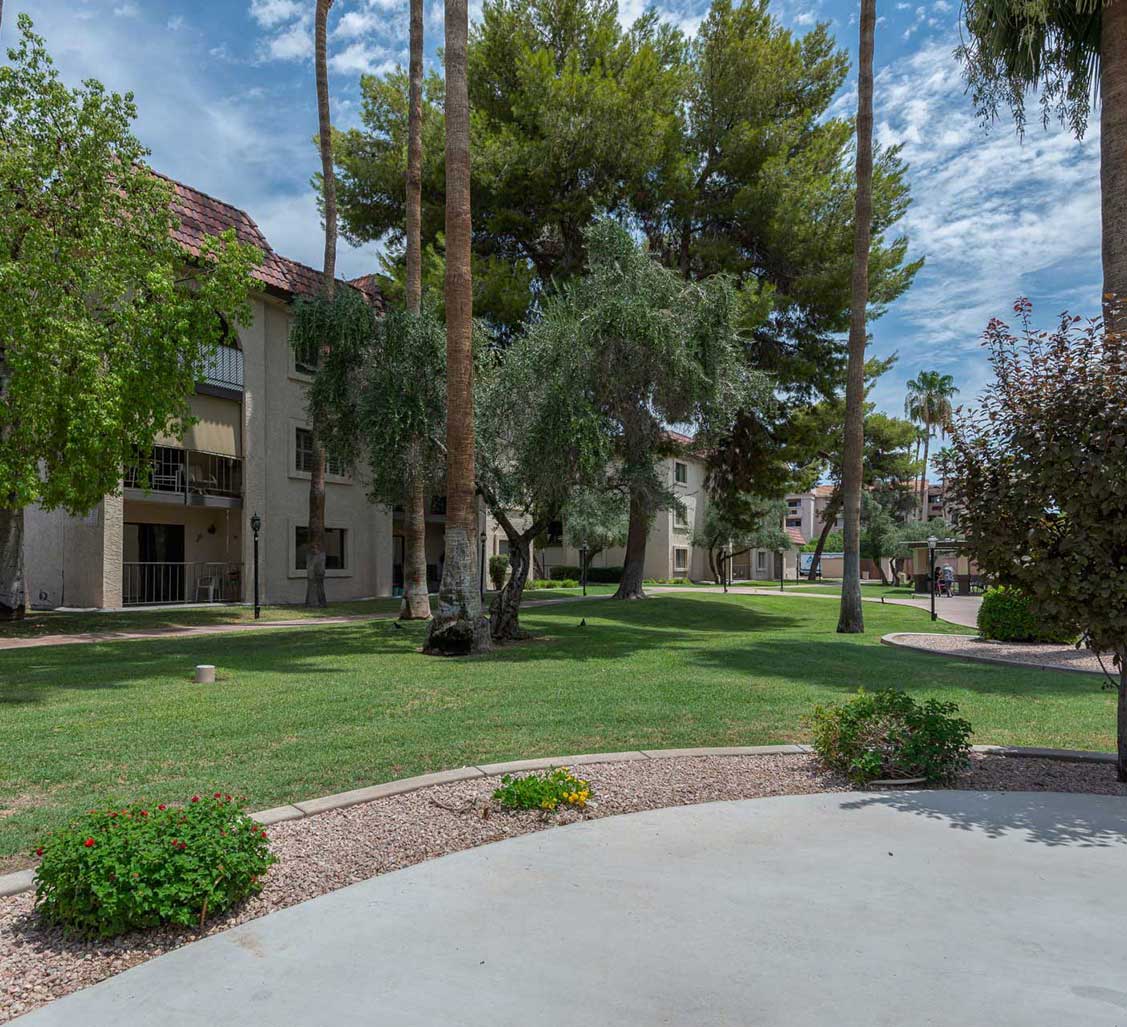 A scenic outdoor view featuring a building surrounded by lush trees and grass, with a clear blue sky overhead.