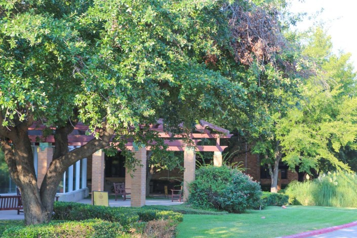 A peaceful garden scene featuring lush greenery and a building with an open, shaded area.