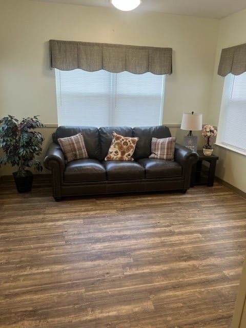 A cozy living room with a leather sofa and decorative pillows, complemented by wood flooring and natural light.