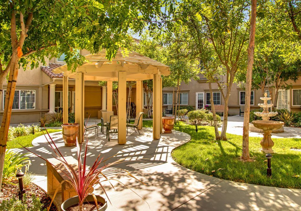 A sunny garden with a pergola and lush landscaping.