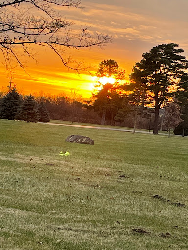 A serene sunset casting warm hues over a grassy field, framed by tall trees.